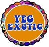logo_yeg11